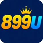 899U Game