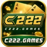 C222 Game