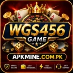 WGS456 Game