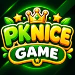 PkNice Game